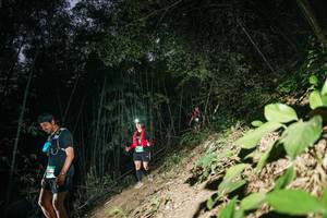 BIB: 
                            <button type="button" onclick="openModal(28115806)" class="btn btn-primary btn-sm float-right btn-popup" data-toggle="modal" data-target=".modal-high-quality">
                        <i class="fas fa-shopping-cart"></i> Add to Cart
                    </button>
                                            <button type="button" onclick="isThisMe(28115806, true)" class="btn btn-success btn-sm float-right btn-popup btn-isme hidden" data-toggle="tooltip" data-placement="bottom" title="นี่คือรูปของคุณใช่ไหม คลิกที่นี่เพื่อเอาเข้าอัลบั้ม">
                        <i class="fas fa-plus"></i> Add to album
                    </button>
                    <button type="button" onclick="isThisMe(28115806, false)" class="btn btn-warning btn-sm float-right btn-popup btn-isnotme hidden">
                        <i class="fas fa-ban"></i> Remove from album
                    </button>